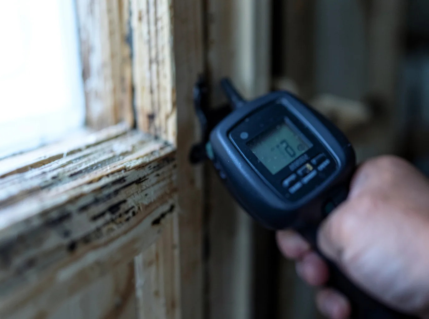 Moisture Inspection And Documentation in Murrayville, IL